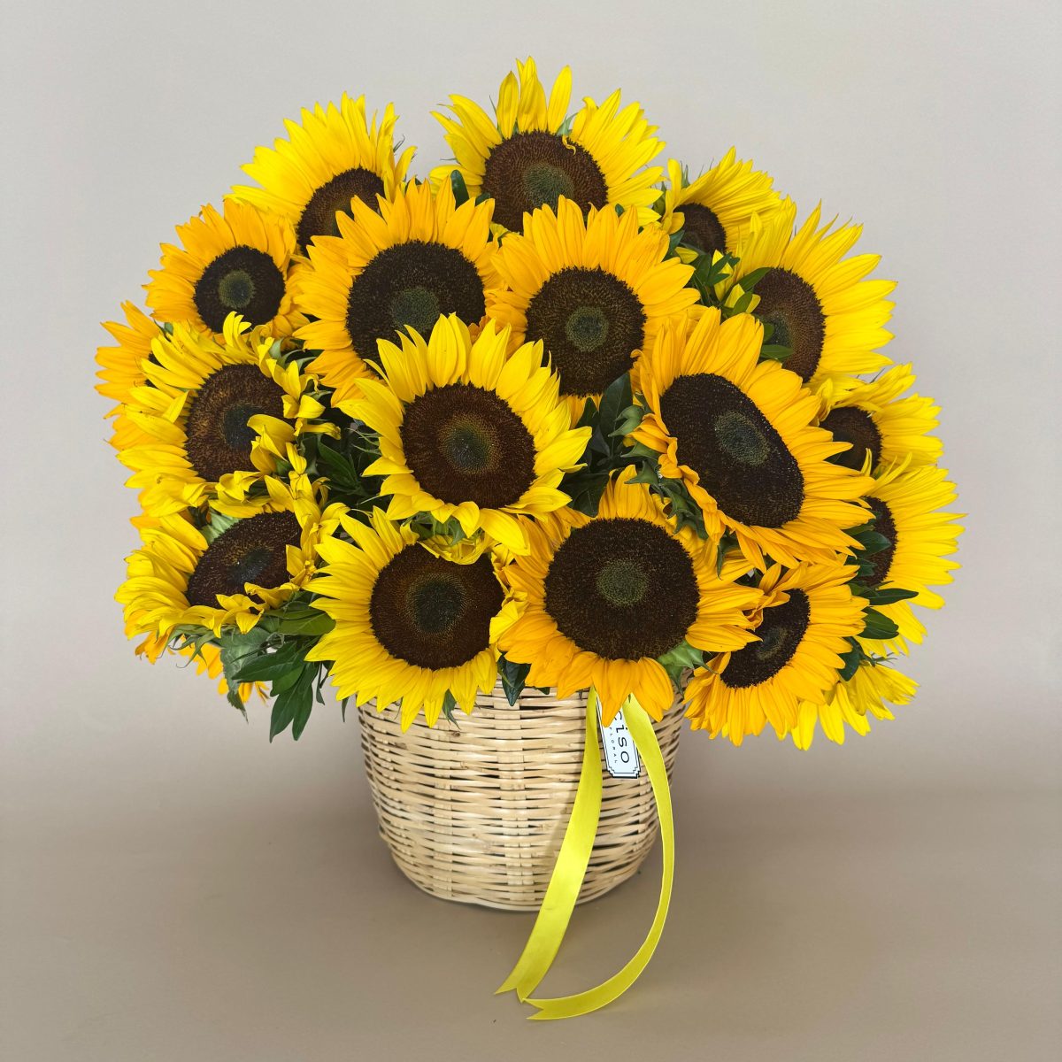 Canasta de Sol
