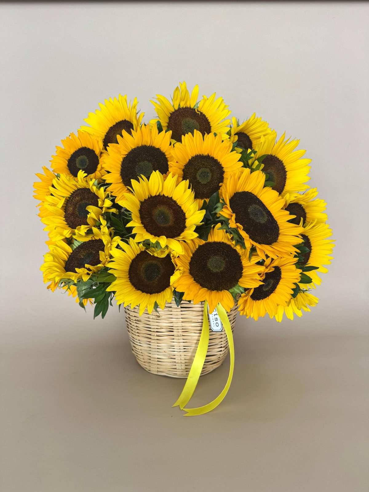 Canasta de Sol