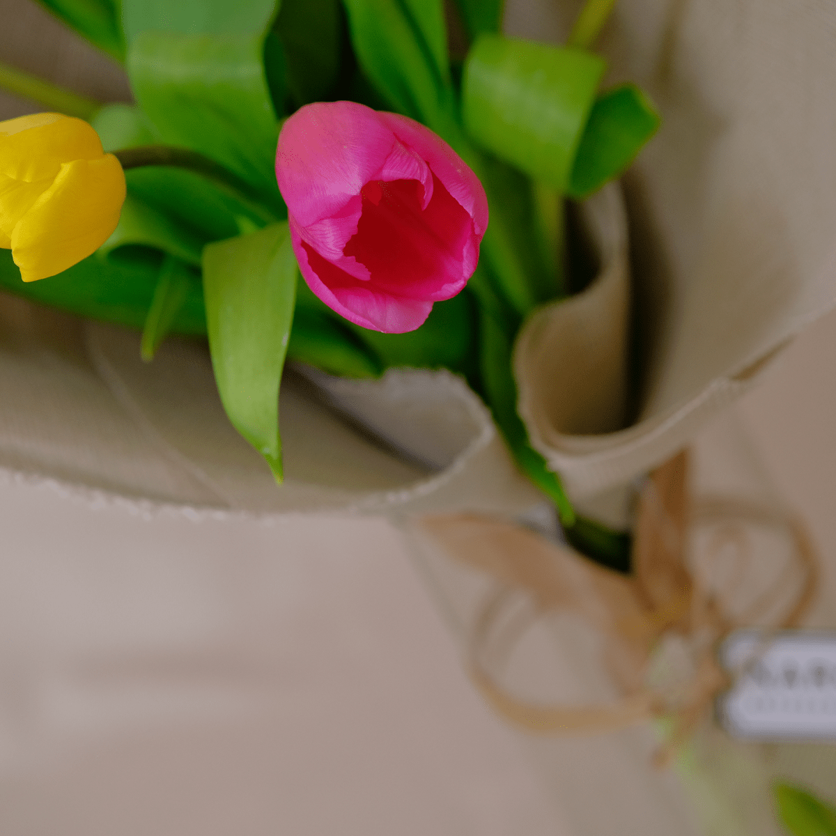 Alternative view of Tulipanes